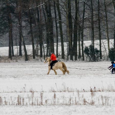 Kolorowe Wzgorze Agroturystyka I Konie Trojanow Exterior photo