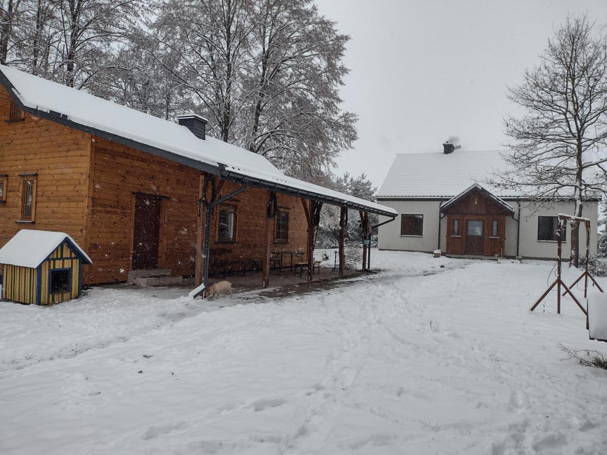 Kolorowe Wzgorze Agroturystyka I Konie Trojanow Exterior photo