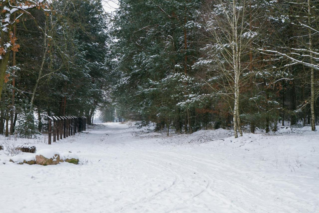 Kolorowe Wzgorze Agroturystyka I Konie Trojanow Exterior photo
