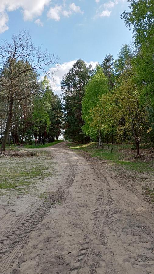 Kolorowe Wzgorze Agroturystyka I Konie Trojanow Exterior photo