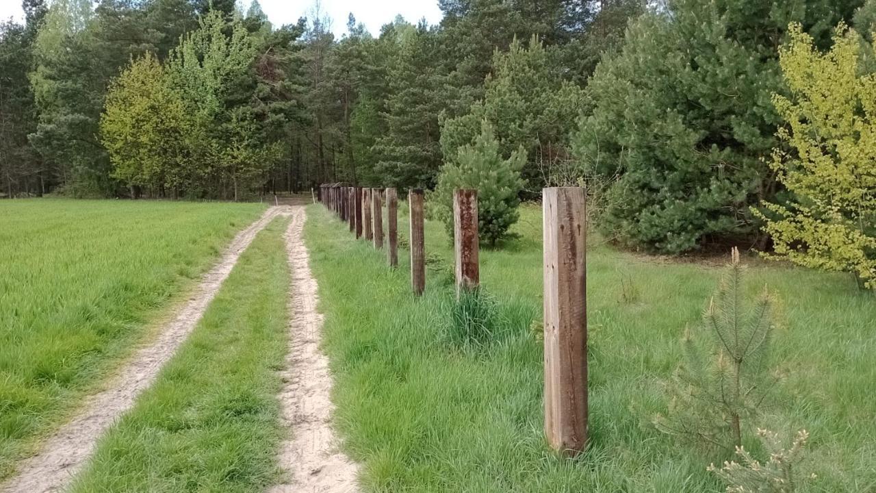 Kolorowe Wzgorze Agroturystyka I Konie Trojanow Exterior photo